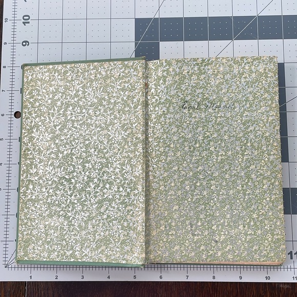 Bucolic Beatitudes by Rusticus, Illustrated by Decie Merwin, Little Brown 1927 - Picture 4 of 14